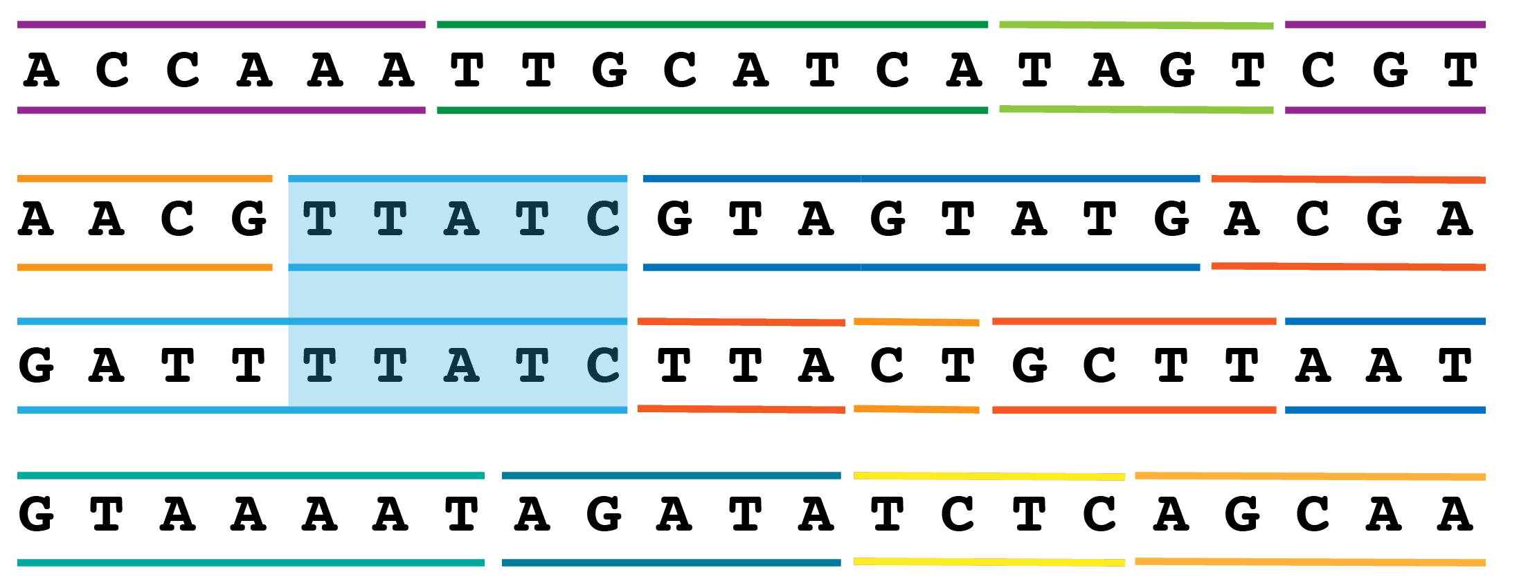 Close-up of DNA segment