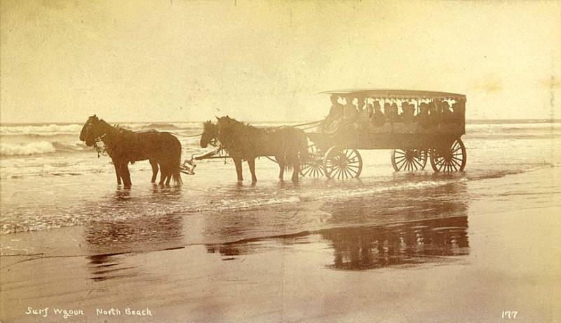 photo of horses pulling a carriage on the beach in Pacific County, Washington, 1892