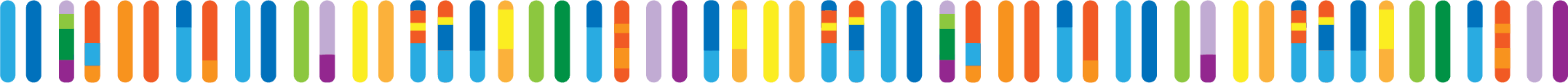 DNA segments